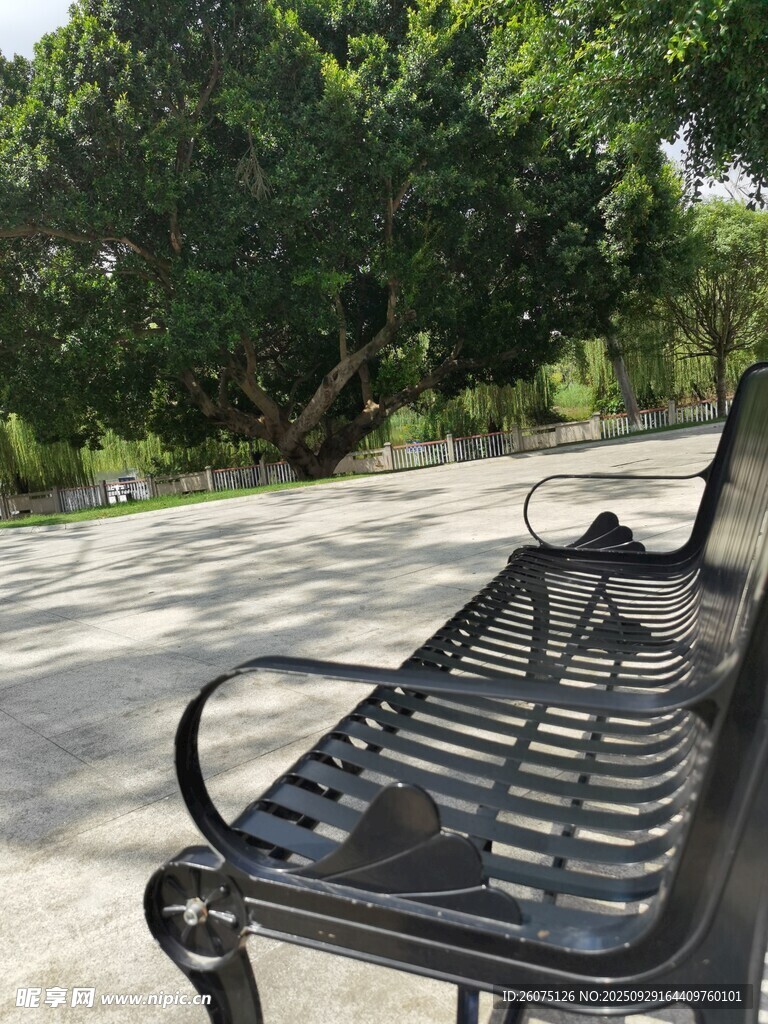公园长椅静享自然时光