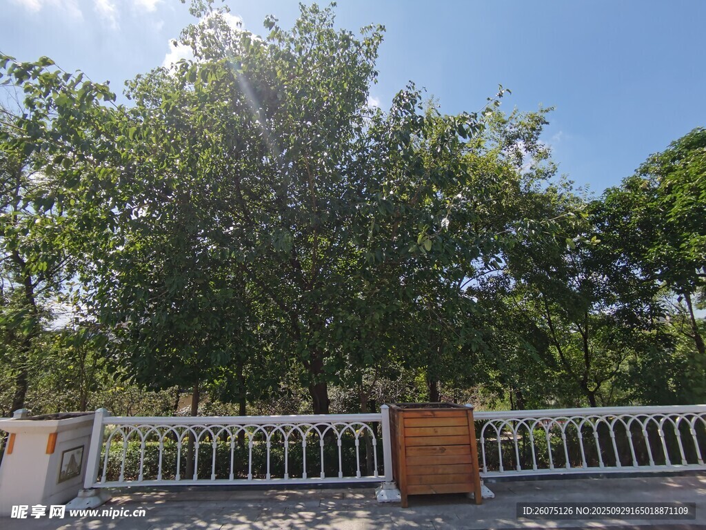 绿树环绕的精致围栏景观
