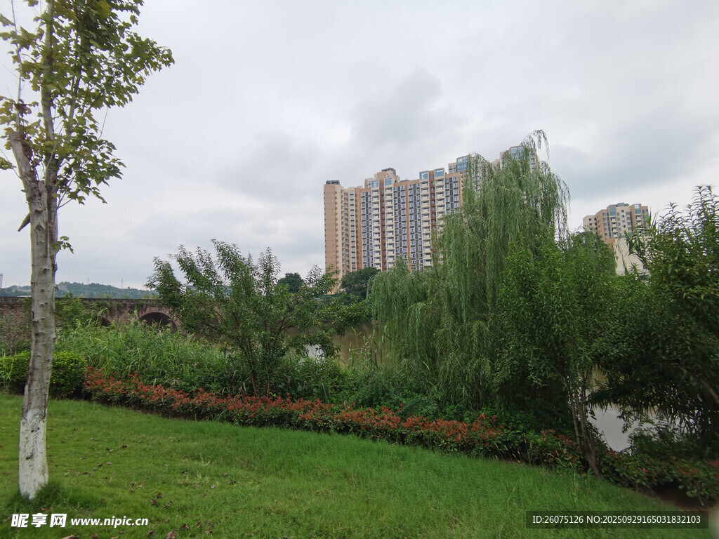 城市绿地旁的高楼景观