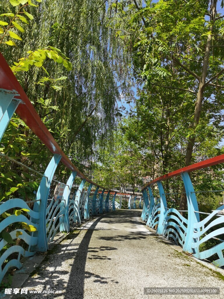 蓝红栏杆装点林间小道