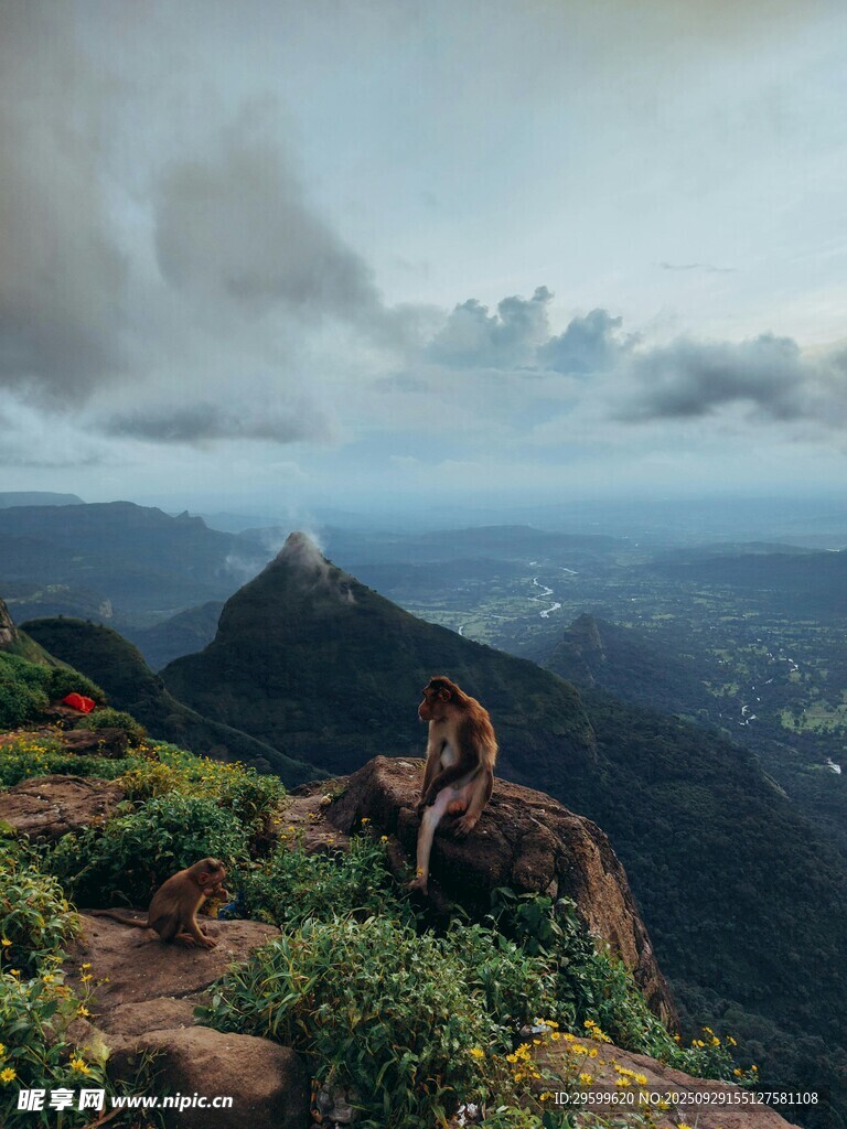 山顶观景者 