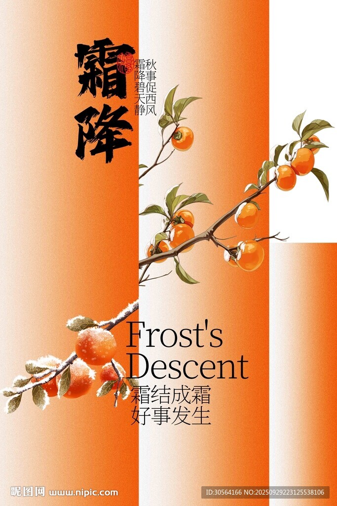 霜降节气传统活动海报