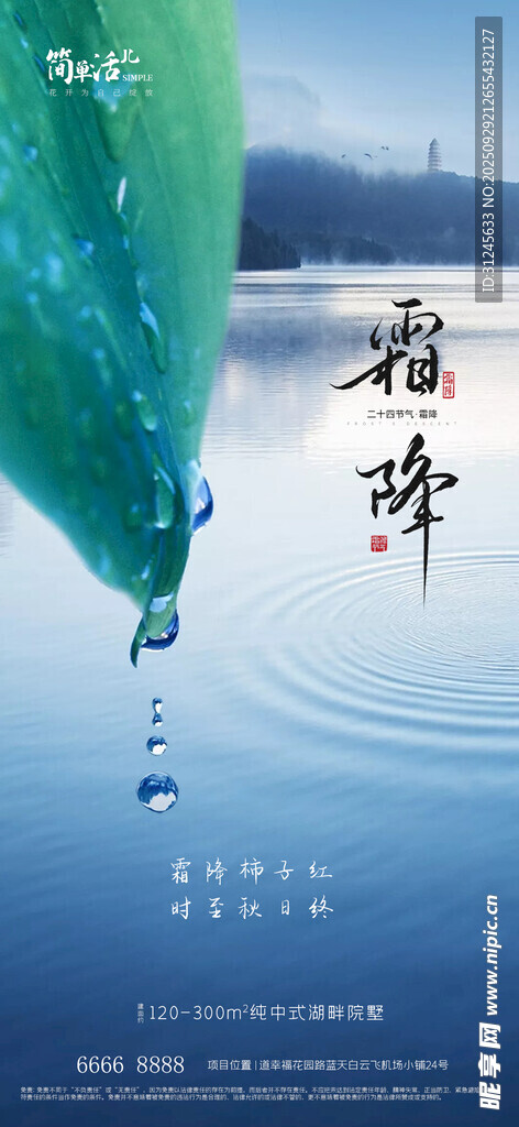 地产霜降海报