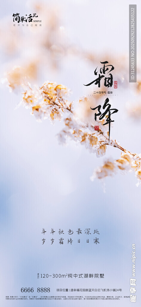 地产霜降海报