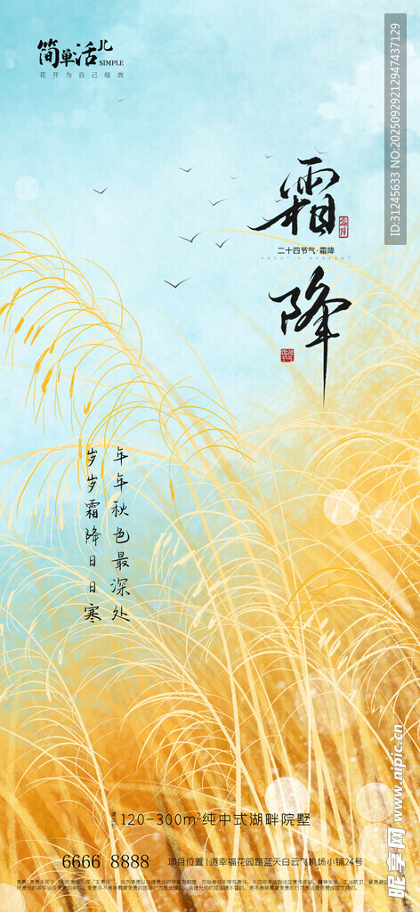 地产霜降海报