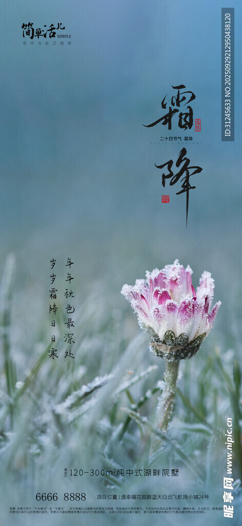 地产霜降海报