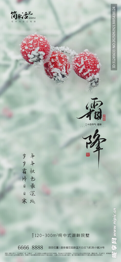 地产霜降海报