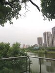 河畔城市风光