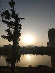 夕阳下的湖畔树木与建筑