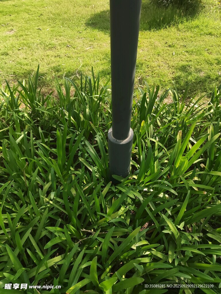 草地上的黑色金属杆