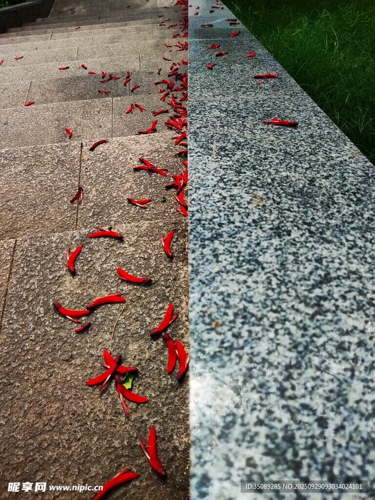 地面散落的红色花瓣