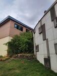 两栋建筑间的绿植庭院