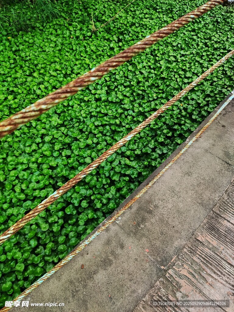 绿植墙铺设现场