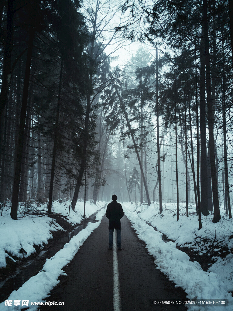 雪林独行者