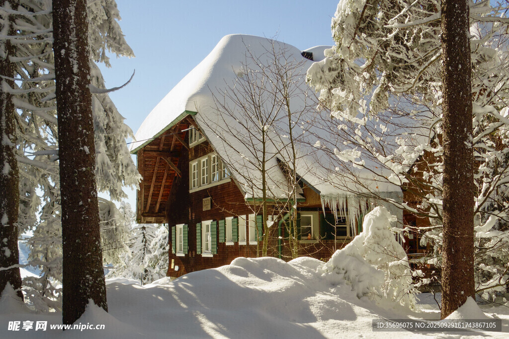 雪覆林间木屋的冬日美景