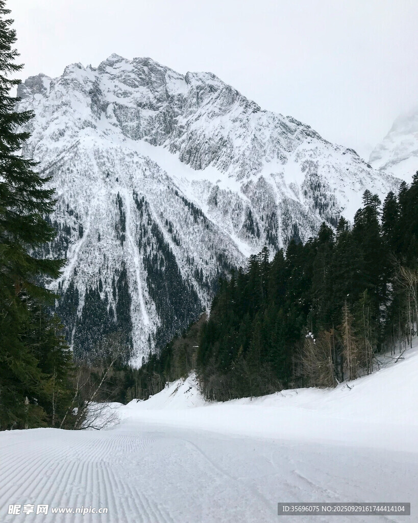 冬日雪山下的静谧林间小道