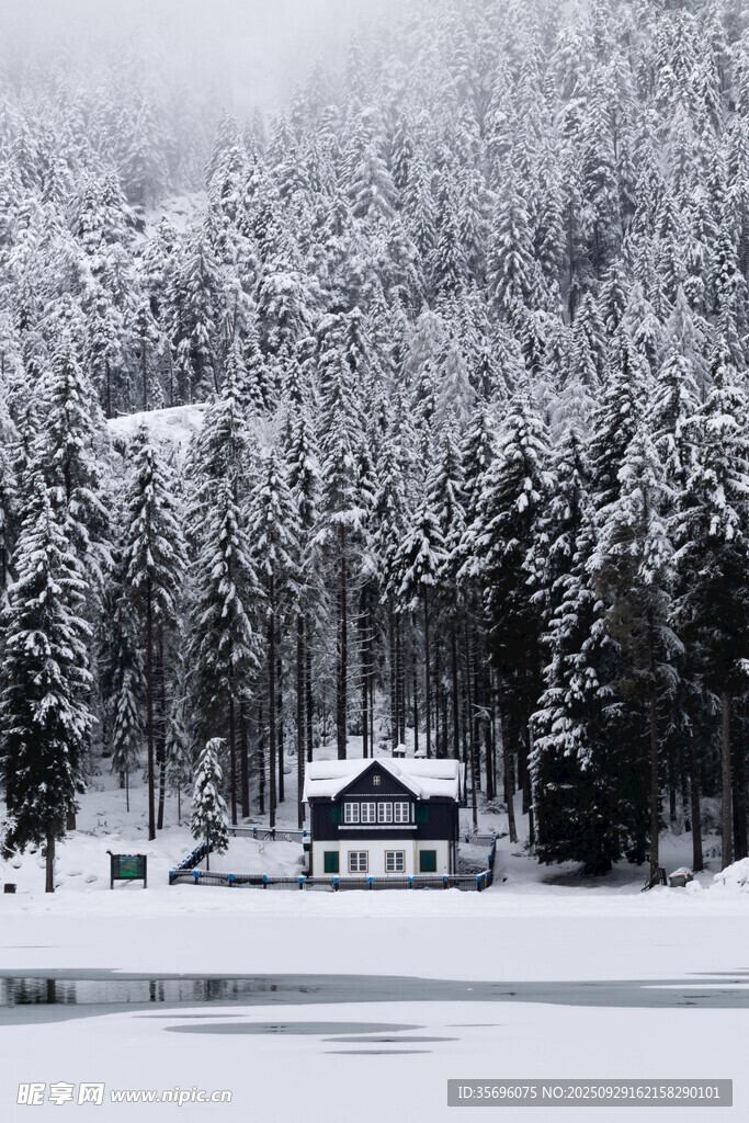 冬日雪林湖畔小屋