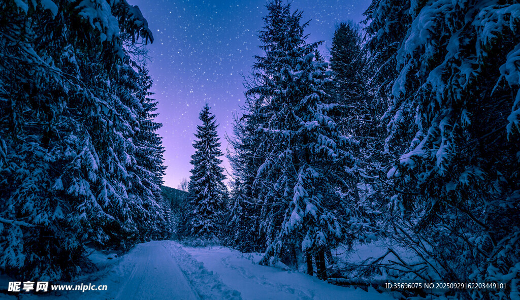 雪夜林间小道