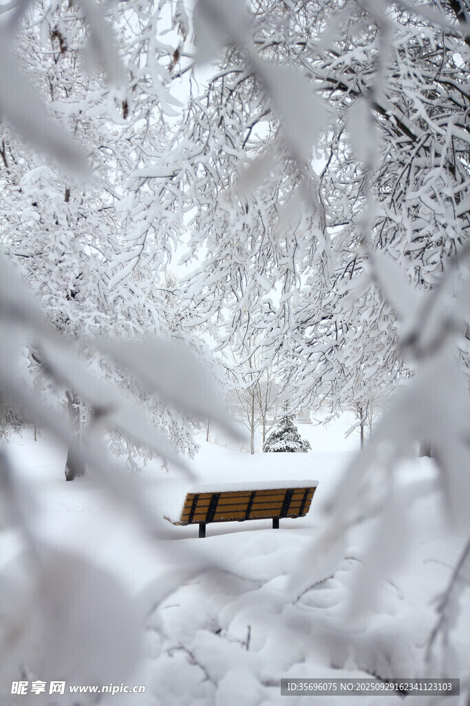 雪覆树林中的静谧长椅