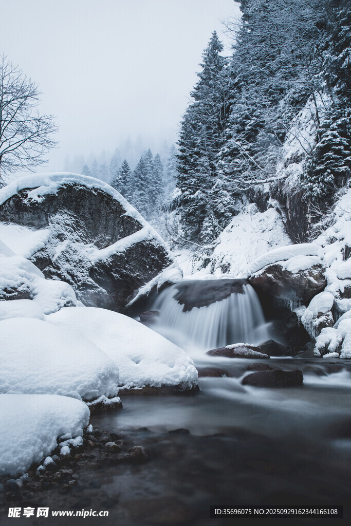 冬日雪景中的潺潺溪流