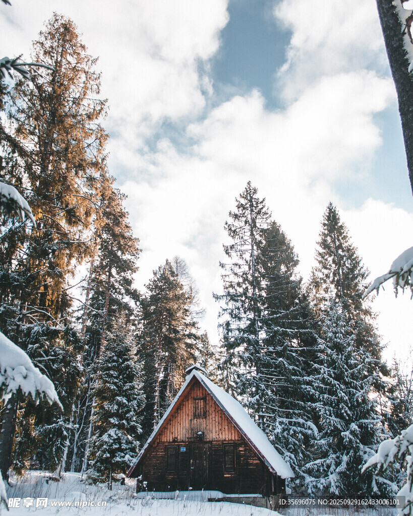 雪覆木屋旁的静谧松林