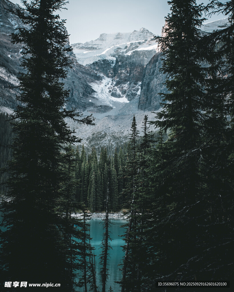 森林间的幽蓝湖泊美景