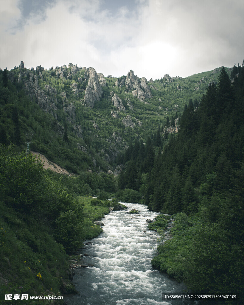 山间溪流穿林而过的美景