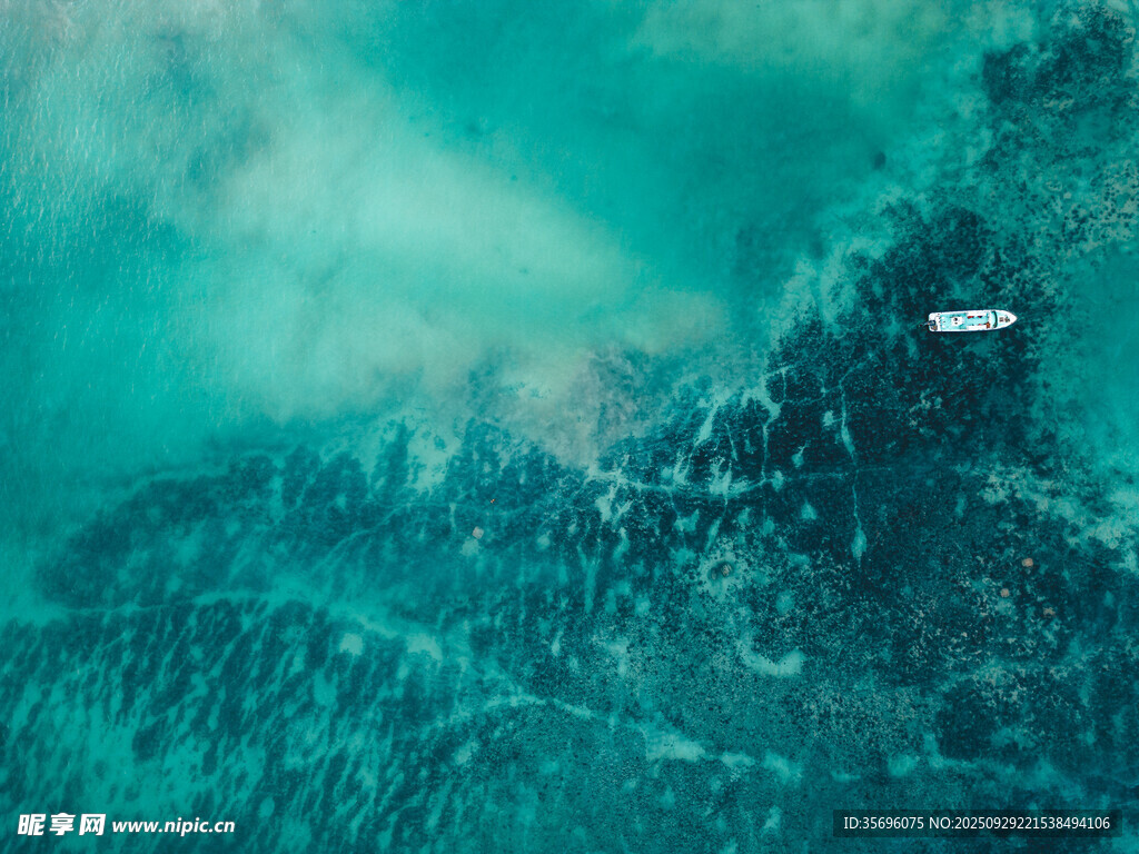 深海神秘景象
