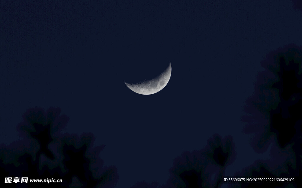 夜空下的弯弯新月