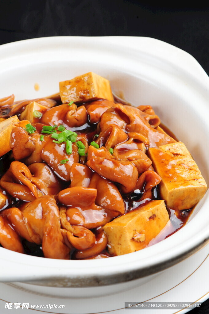 美味豆腐烧肥肠