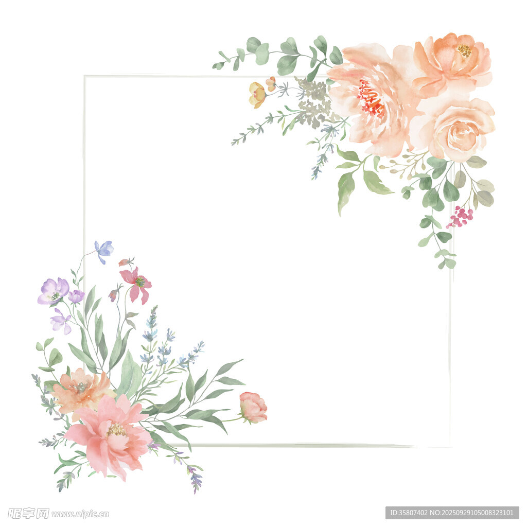 手绘花卉边框 