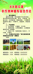 绿色草地旁的多样景观展示