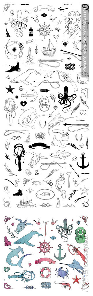 卡通海洋生物图案 