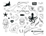 海洋生物手绘元素 
