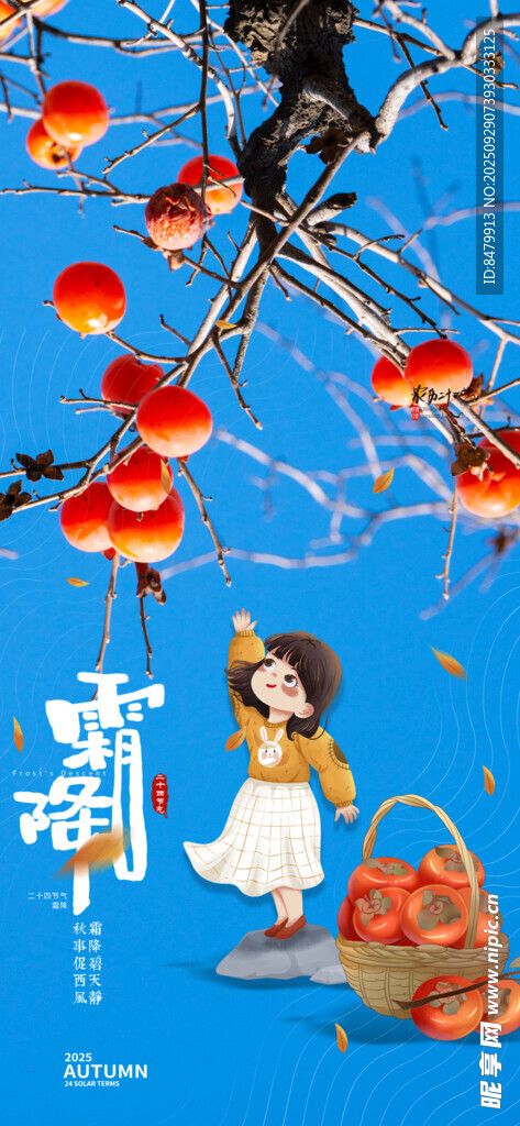 霜降海报