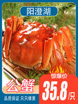 阳澄湖公蟹