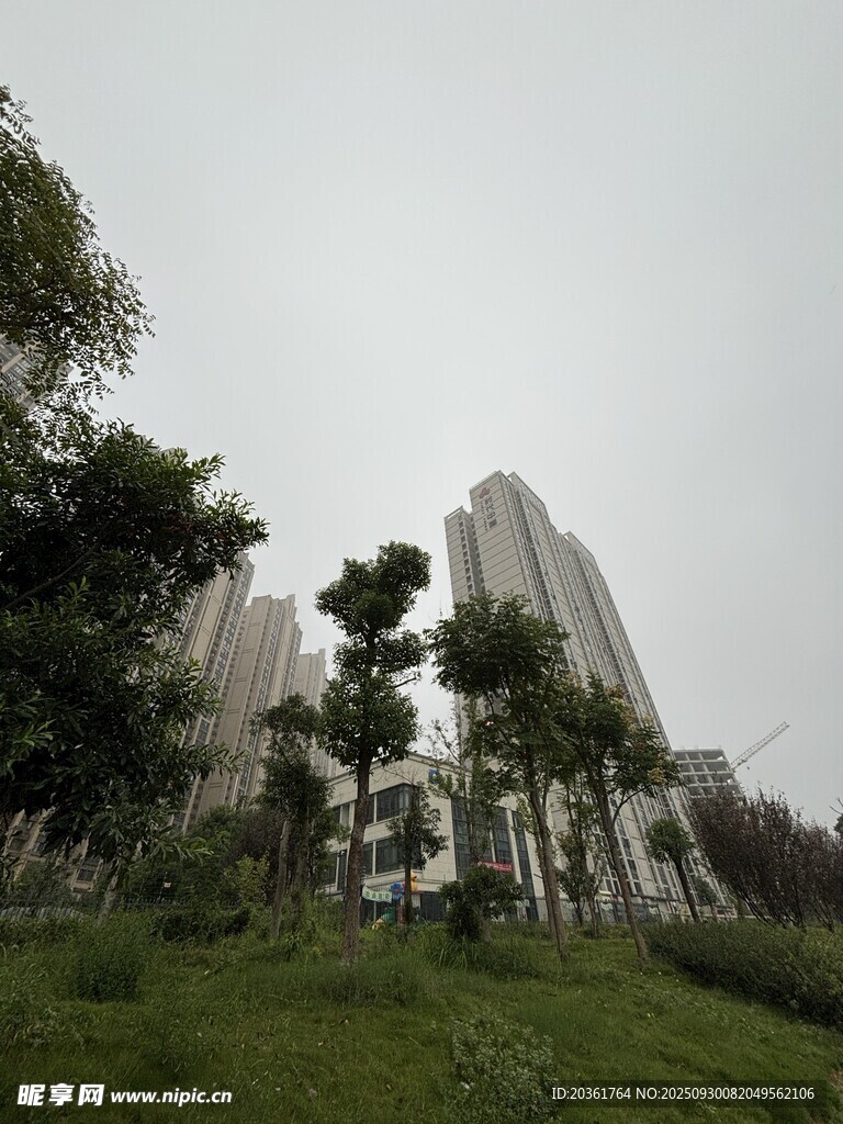 城市绿地旁的高楼景观
