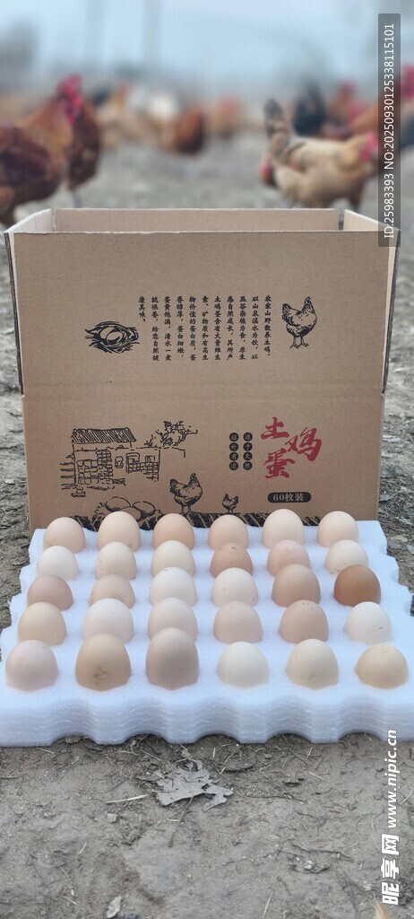 鸡蛋