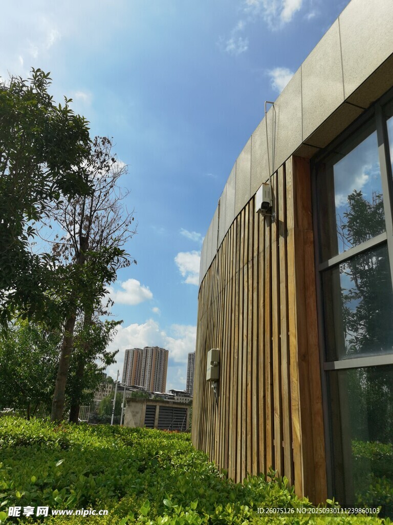 现代木质建筑旁的绿意景观