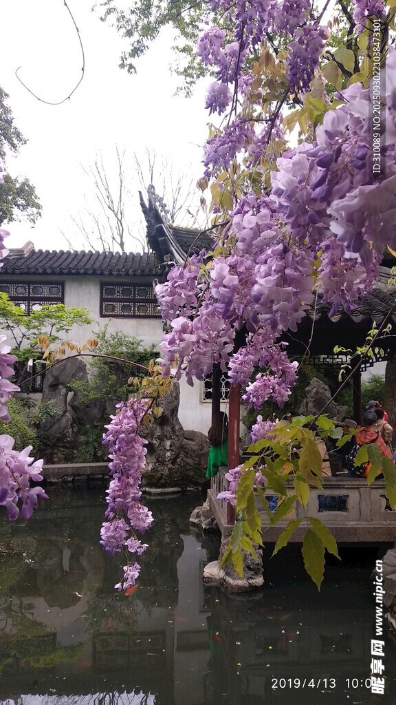 湖畔繁花盛开的中式景致