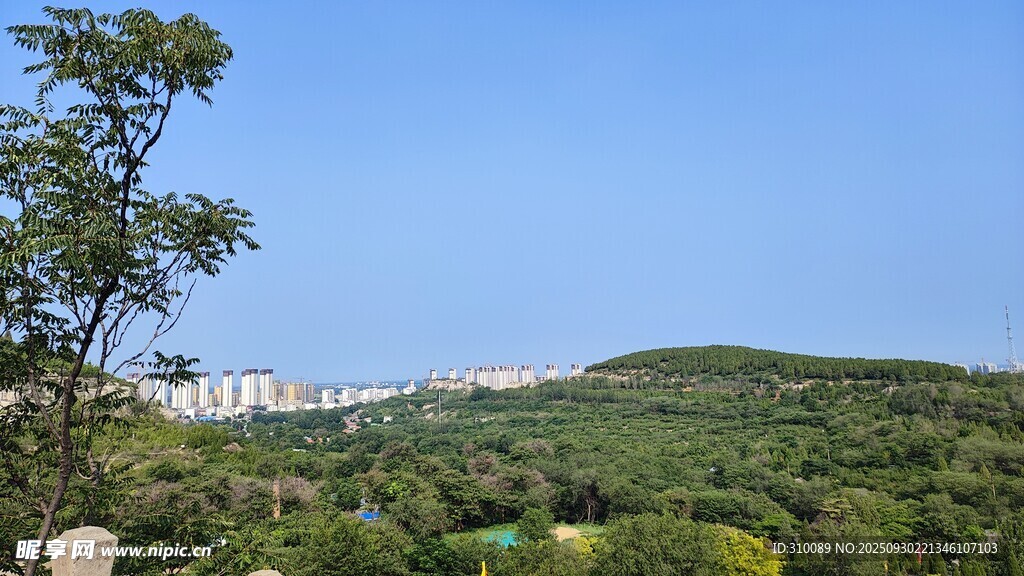 青山绿树间的城市远景