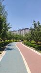 城市彩色休闲步道景观