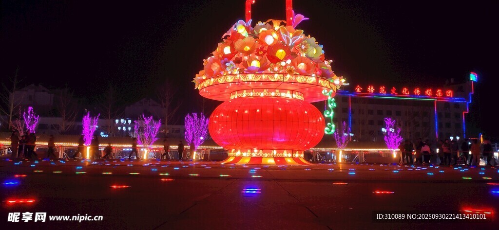 璀璨花灯点亮夜的绚丽