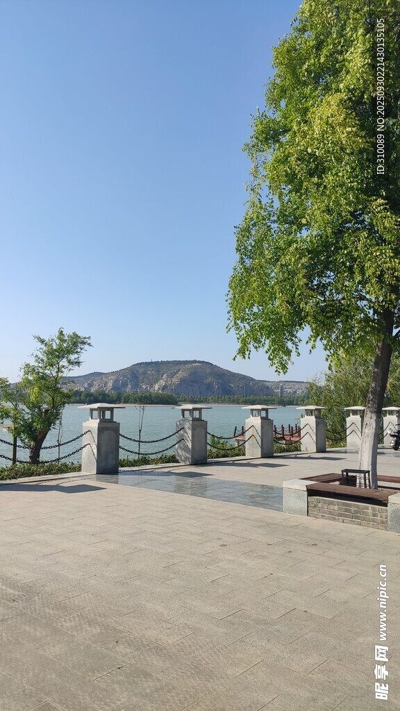 户外开阔场地与绿树建筑