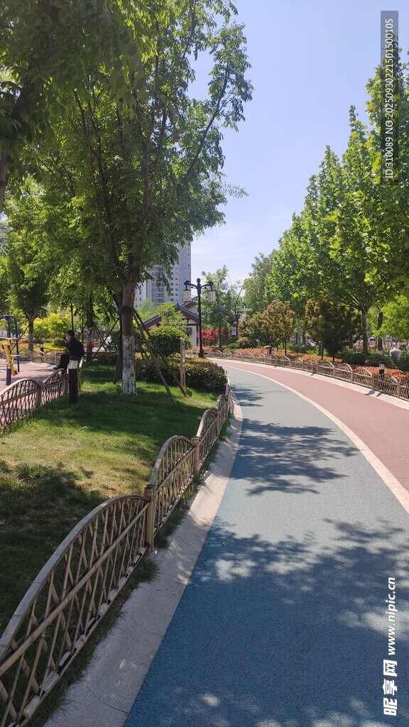 公园彩色步道风景