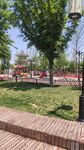 公园绿意盎然的休闲场景