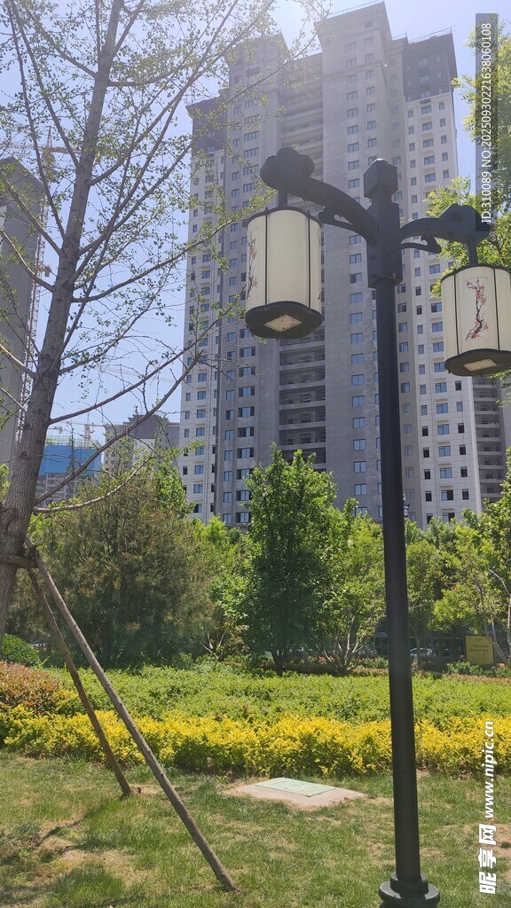 城市公园中的复古路灯景观