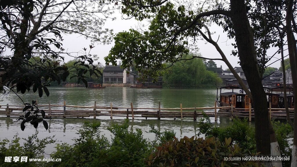 湖畔绿树环绕的静谧景致