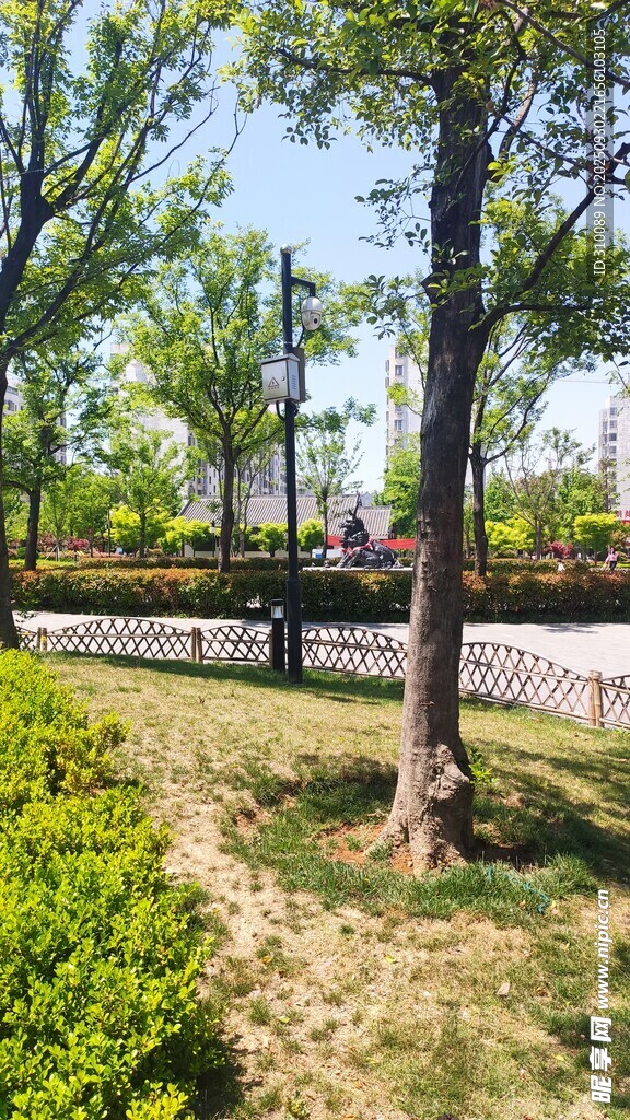 公园绿意盎然的休闲小径