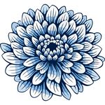 蓝白菊花图案